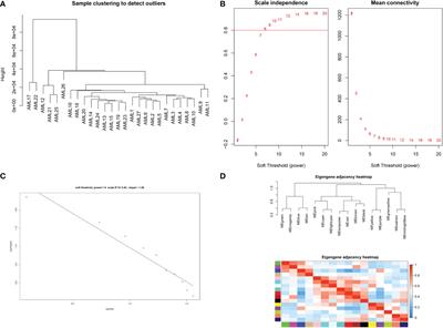 High expression level of the FTH1 gene is associated with poor prognosis in children with non-M3 acute myeloid leukemia